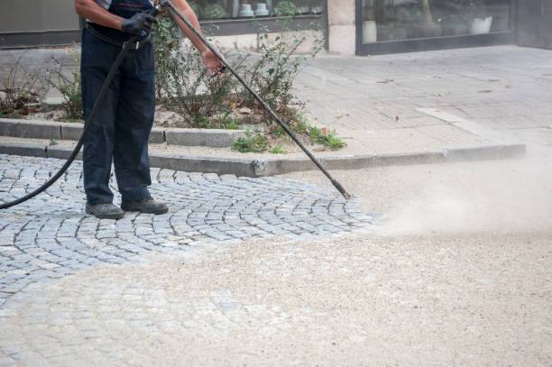 Best Animal Enclosure Cleaning  in Packanack Lake, NJ